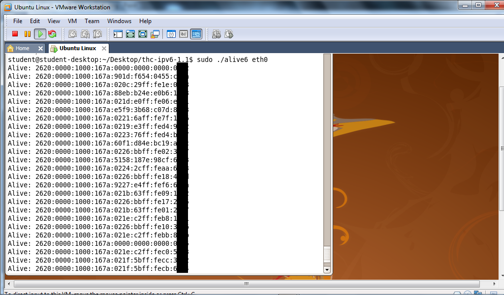 ipv6-scan-google (157K)